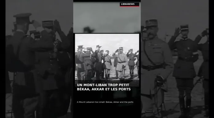 Libnanews