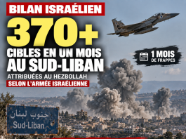 Libnanews
