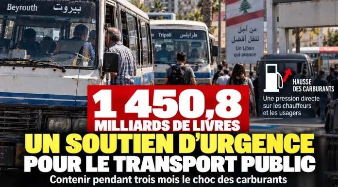 Libnanews
