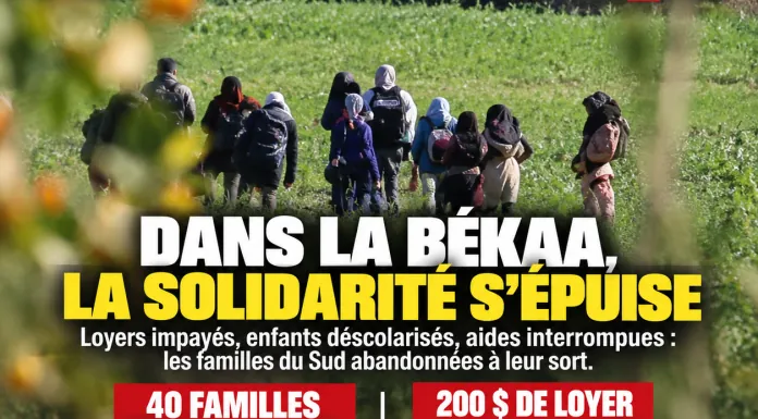 Libnanews