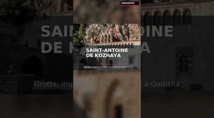 ليبنانيوز