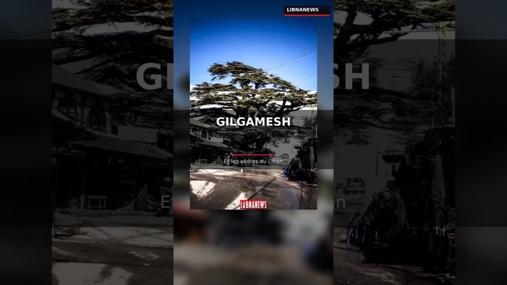 Gilgamesh et les Cèdres du Liban 🌲 Le Mythe de la Forêt Sacrée | Bcharré
