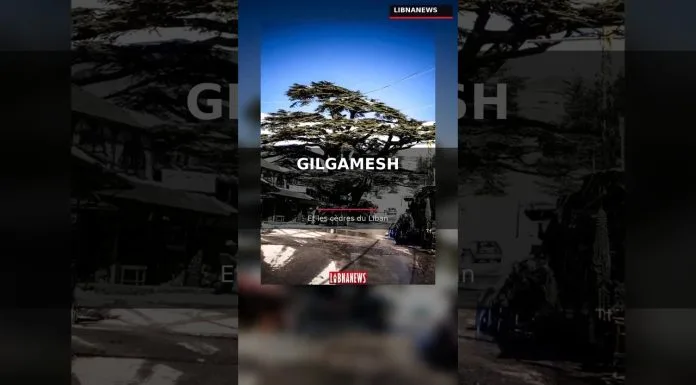 Gilgamesh et les Cèdres du Liban 🌲 Le Mythe de la Forêt Sacrée | Bcharré