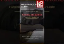💸 Liban : les envois de la diaspora reculent, et la guerre aggrave la baisse