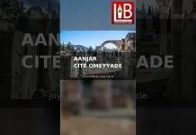 AANJAR, LA CITÉ OMEYYADE OUBLIÉE DE LA BÉKAA