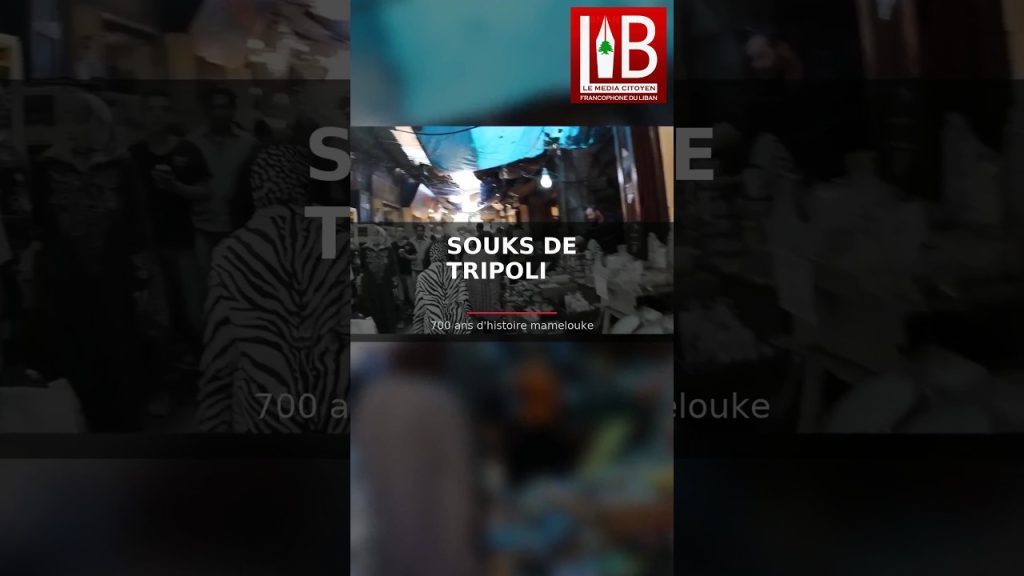 LES SOUKS DE TRIPOLI — 700 ans de commerce mamelouk