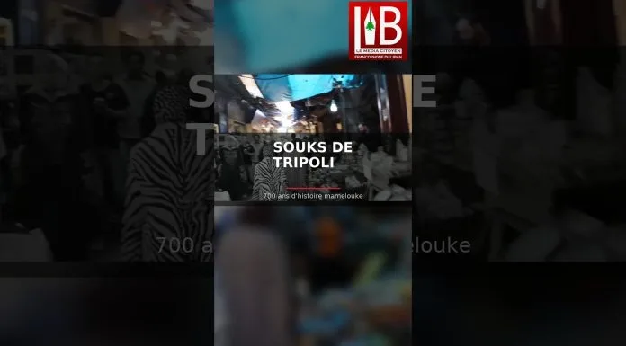 LES SOUKS DE TRIPOLI — 700 ans de commerce mamelouk