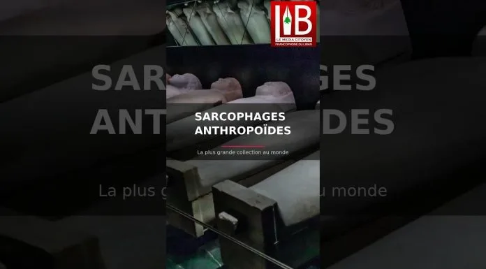 Les sarcophages anthropoïdes de Saïda 🇱🇧