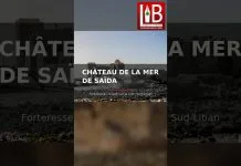 Le Château de la Mer de Saïda