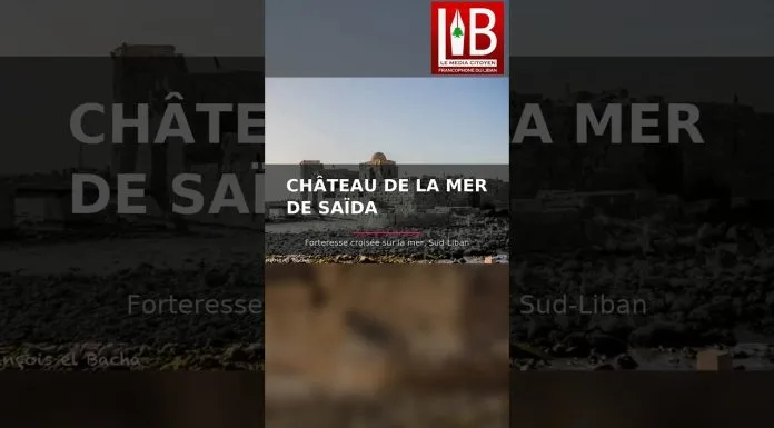 Le Château de la Mer de Saïda